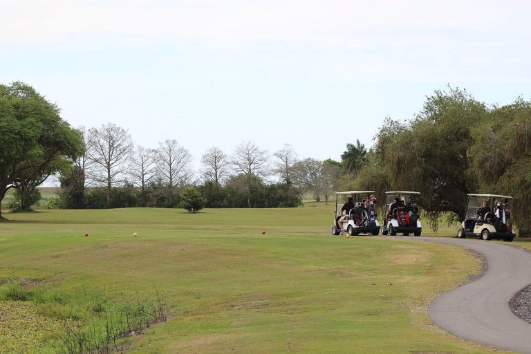 Fix Golf Green